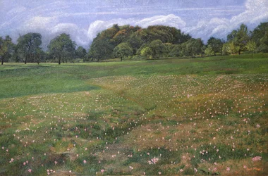 Ein Feld von Herbstzeitlosen, 1908